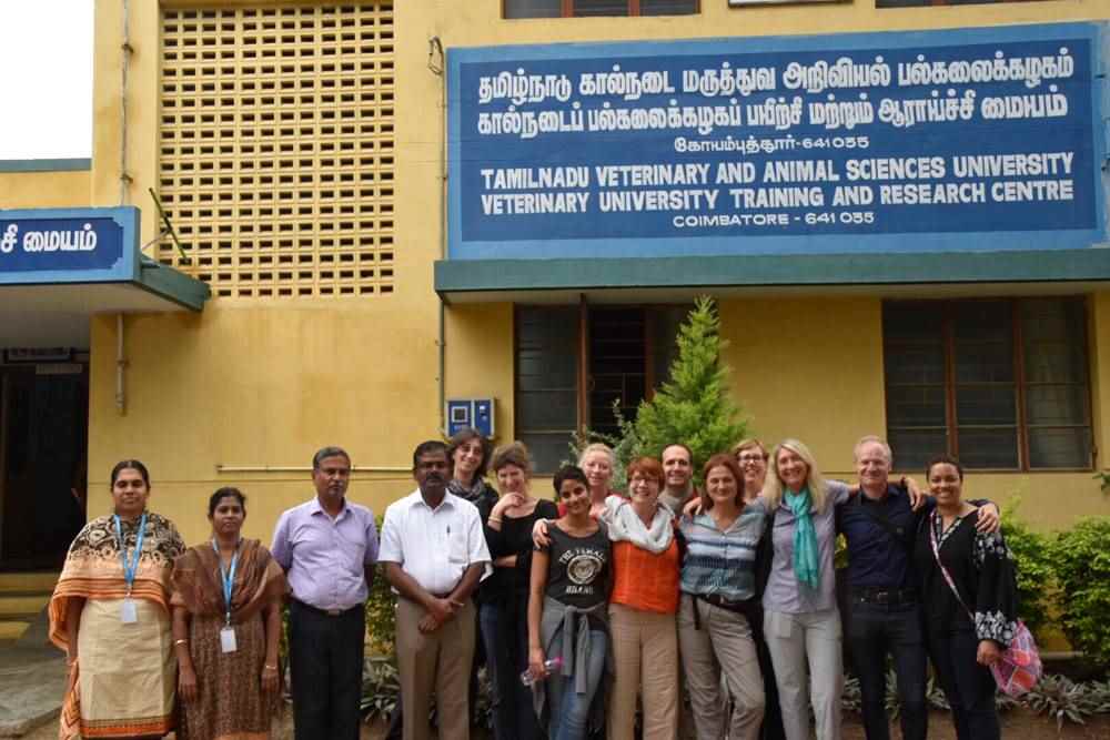Tamil Nadu Veterinary and Animal Sciences University (TANUVAS), Chennai,  Courses in TANUVAS, Admission in TANUVAS 2023, Entrance Exam in TANUVAS