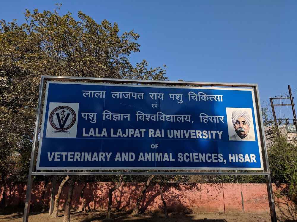 Lala Lajpat Rai University of Veterinary and Animal Sciences (LUVAS), Hisar  - Images, Photos, Videos, Gallery 2023
